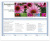 cmpowerONLINEMARKETING - Werden Sie im Internet erfolgreich