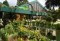 Endlich Ende der Eisheiligen