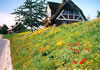 Urlaub & Tourismus