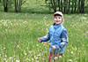 firmy i gospodarka