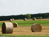 Firmen & Wirtschaft
