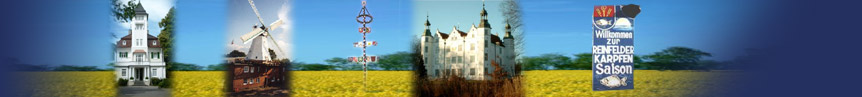 city-map region Stormarn