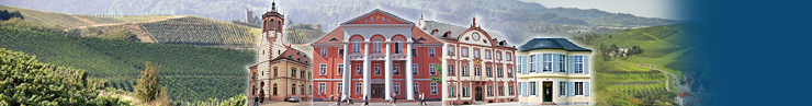 city-map gemeente Ortenaukreis