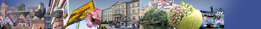 city-map Region Tübingen
