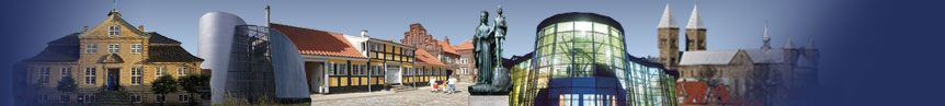 city-map Omr�de Viborg
