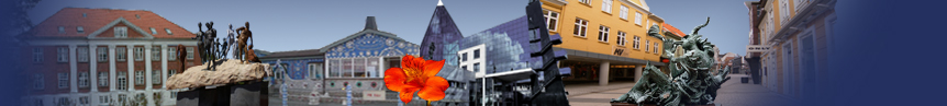city-map Omr�de Holstebro