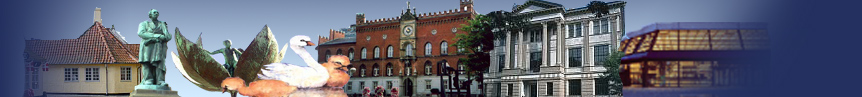 city-map Omr�de Odense