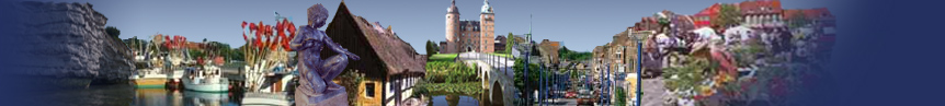 city-map Omr�de K�ge-Haslev-Fakse