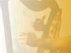 89107315.jpg